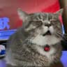 cowboyclicker