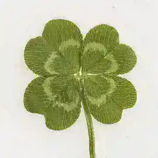 НАБОР В АДМ!! creative zone 🍀🌈 Profile