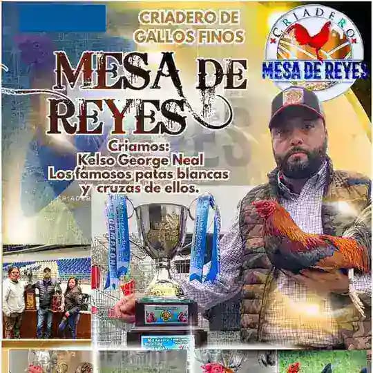 Criadero Mesa de reyes