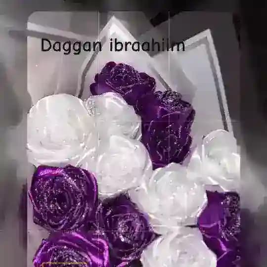 Deggan Ibrahim🧶💐🩷