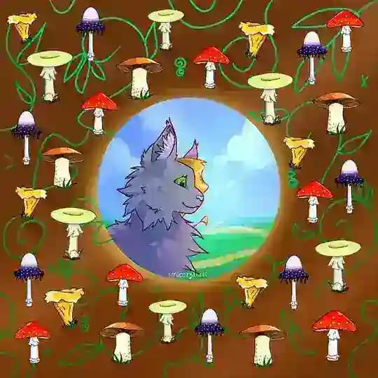 🌿🍄𝐂𝐫𝐨𝐜𝐨𝐳𝐲𝐚𝐛𝐫𝐢𝐬 | 𝐨𝐟𝐟𝐢𝐜𝐢𝐚𝐥🍄🌿