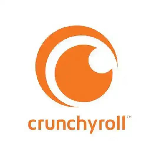 Crunchroll official / SOLO lvelling in hindi