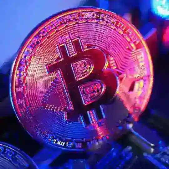 CryptoYo