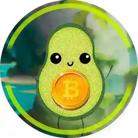 CryptoCado - Крипта | Catizen | Финансовая грамотность