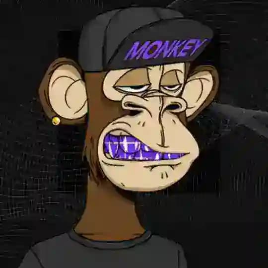 Crypto Monkeys