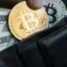 Crypto Signals Digest