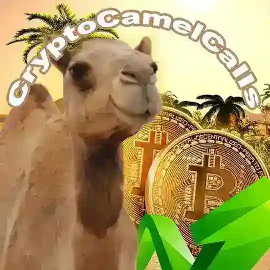 Crypto Camel Calls 🐫