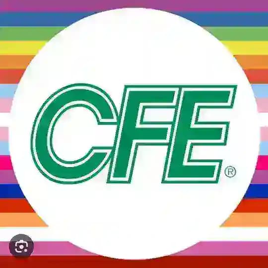 Crypto Flash Extractor