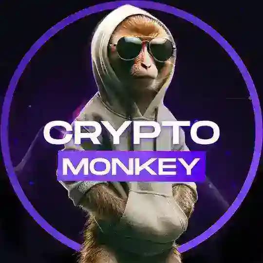 Crypto Monkey - Cryptoactivities