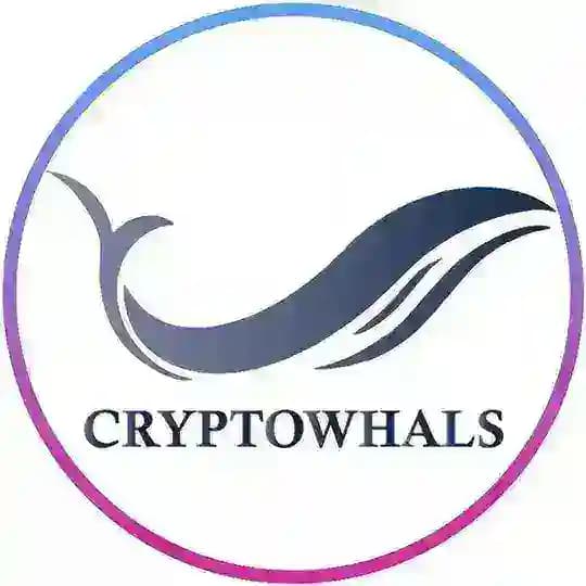 Bitwhals.ex | کانال برسی بازارهای مالی