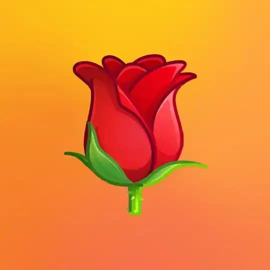 长沙半套95
