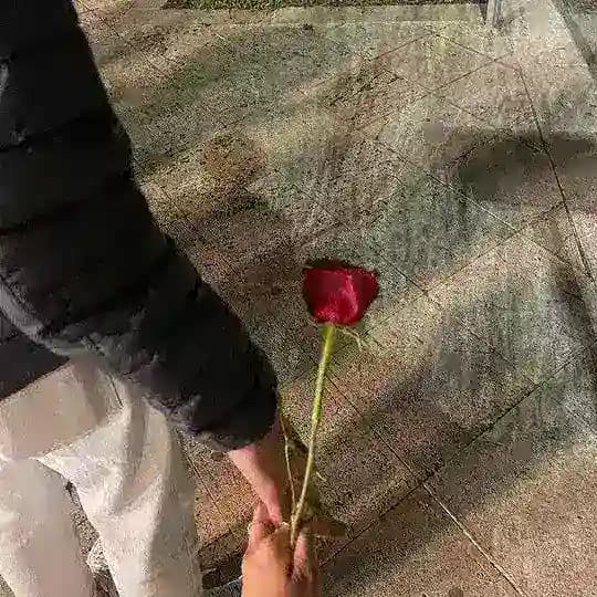 مشاعري