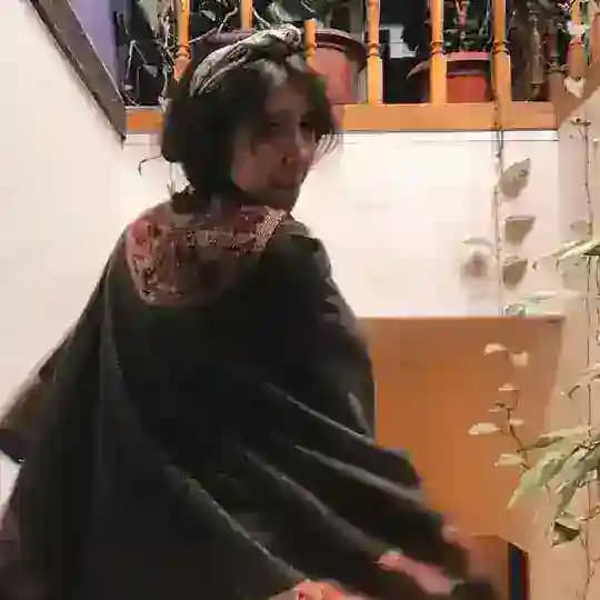 сегодня сова сказала
