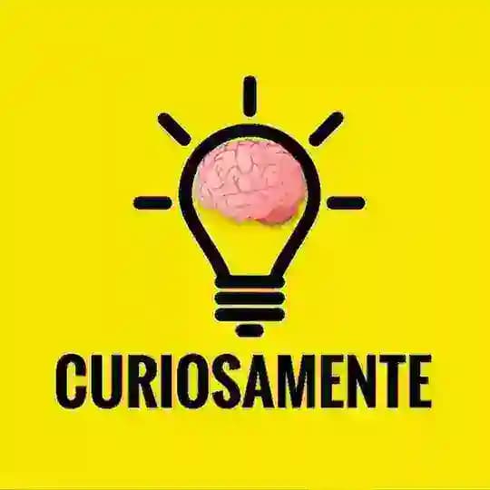 💡CURIOSAMENTE🧠