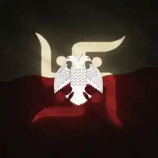 Curious Bharat