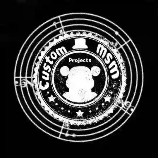 Custom MSM projects