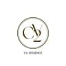 Cv2essence