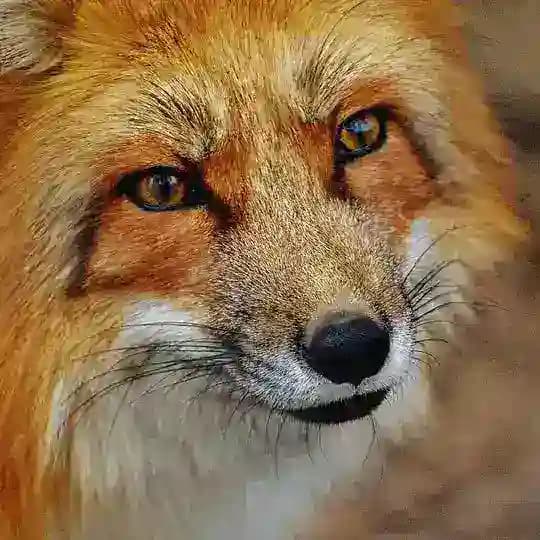 渗透/安全推送中心 Profile