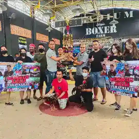 CHANNEL CV ANAK MEDAN