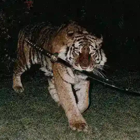 𓏺 َِ𝖬َِ𝗂َِ𝗅َِ𝗈 𖤝 .