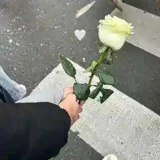 عافيتي♥