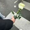 عافيتي♥