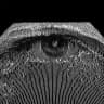 Cybernetic Void