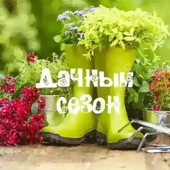 ДАЧНЫЙ СЕЗОН