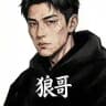 狼哥导航站