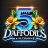 FiveDaffodils main channel