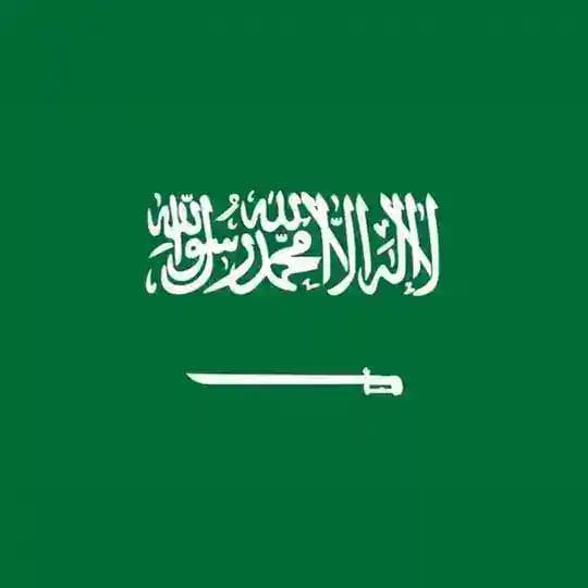 🇸🇦