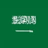 🇸🇦