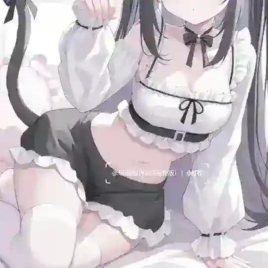 猫粮