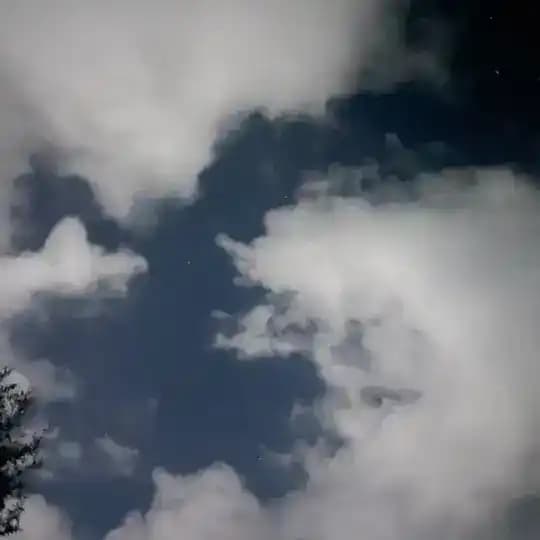 شخصی
