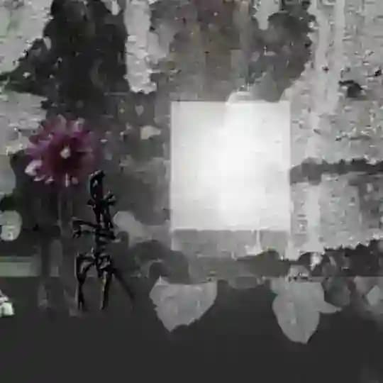 discarded noema