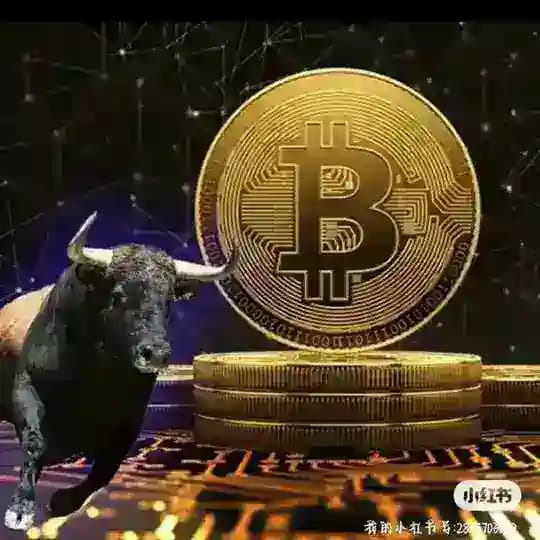 搭建🔥软件开发🔥交易所开发🔥DAPP开发