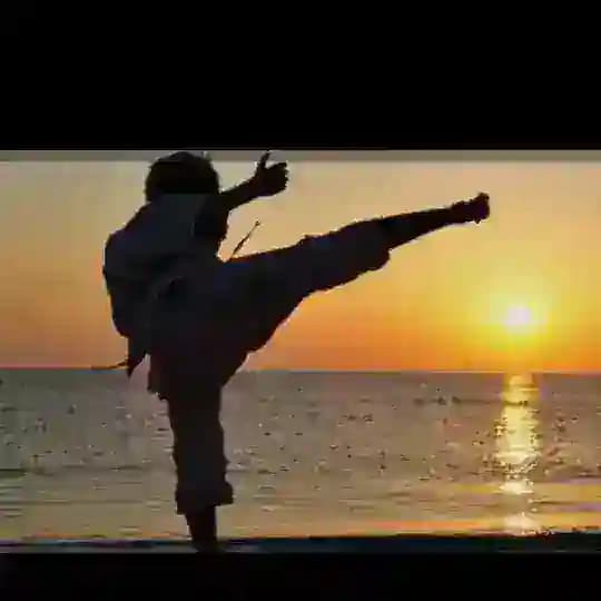 လက်သိုင်းကြိုက်သူများ