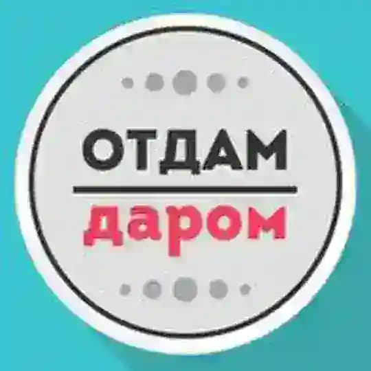 Отдам даром Питер Спб Profile