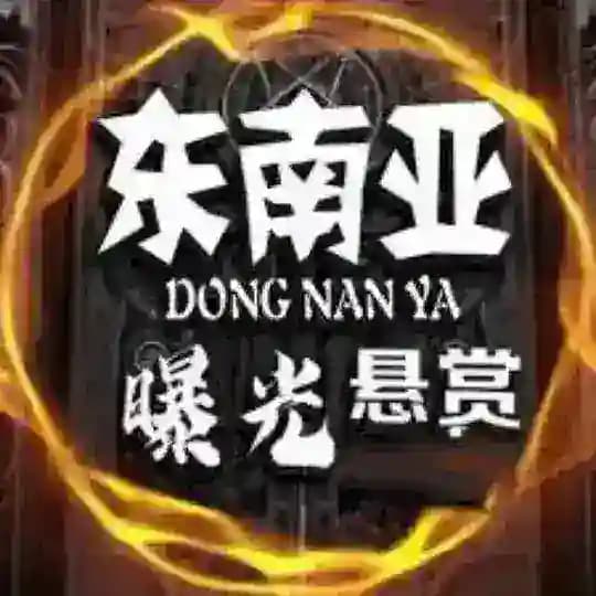 全球简报