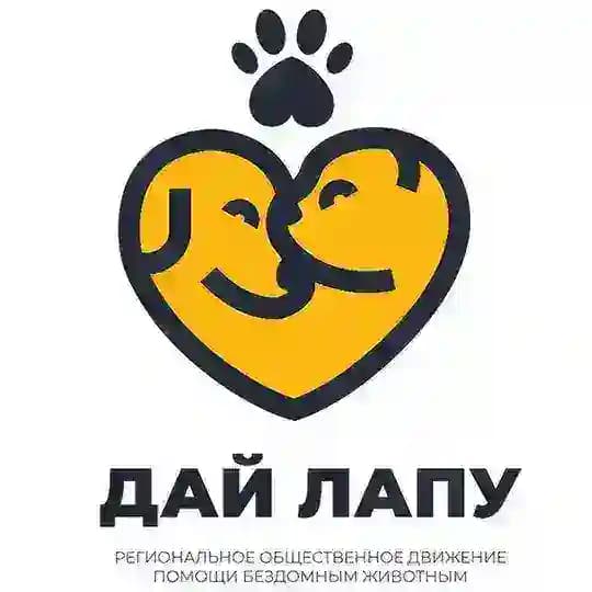 Дай лапу Сургут