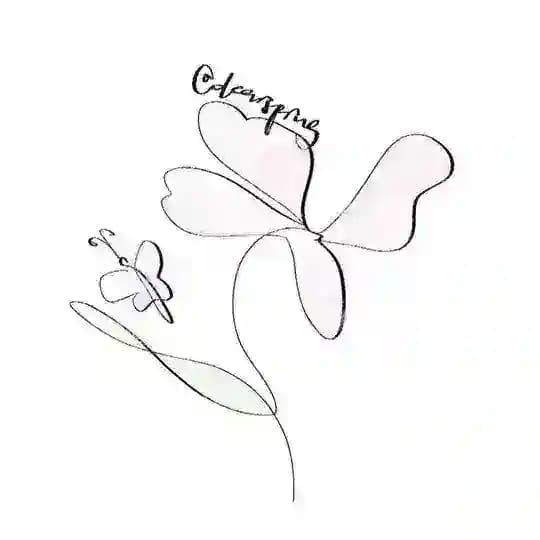 dearsprng❀