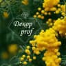 DEKOR PROF