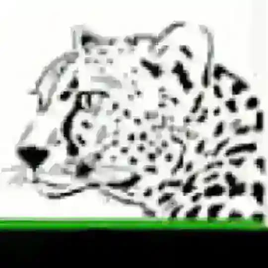 DENCRYPTOINVEST Profile