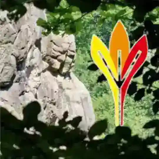 Der Hel Seher Germanische Heilkunde deutschsprachig