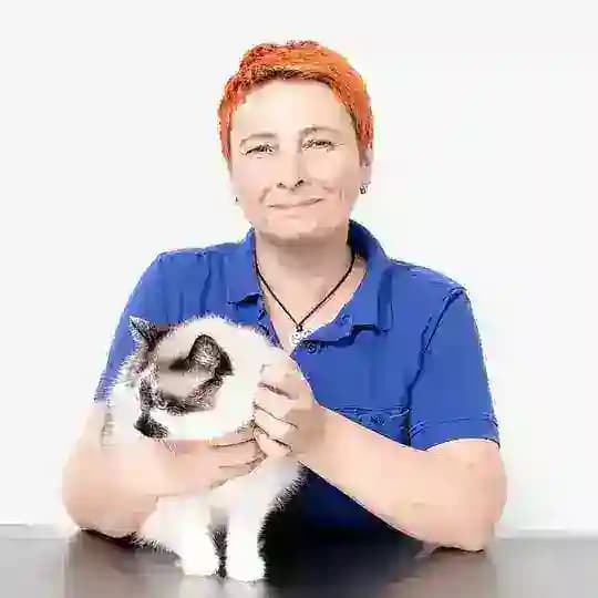 Ветеринарный дерматолог