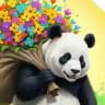 Дешева Панда 🐼 Товари з Аліекспресу 🈵