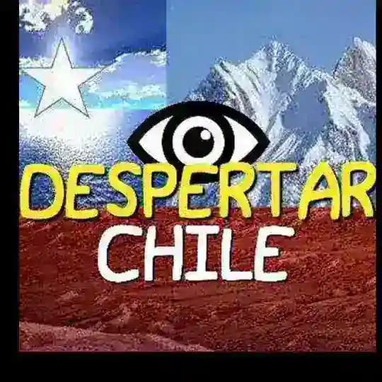 Despertar Chile, Chile Vibra Alto, Resiste!!!La Verdad siempre
