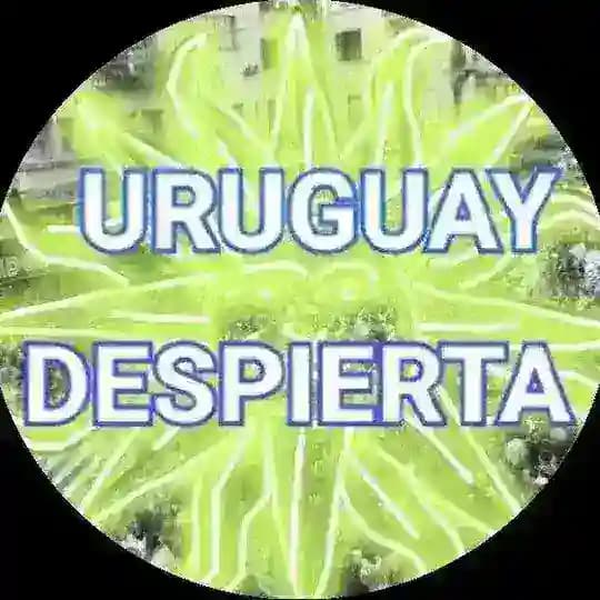 URUGUAY DESPIERTA