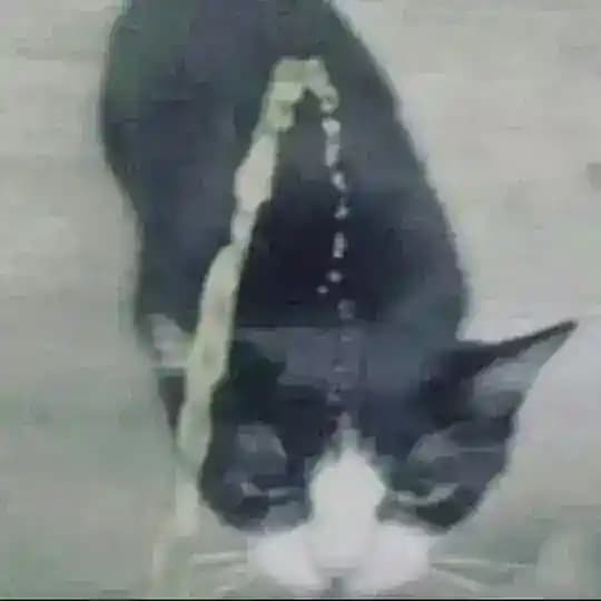 destroythesystem