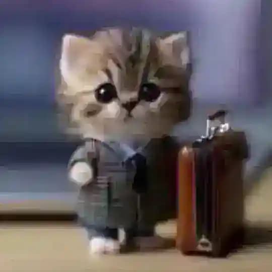 следственный комитет